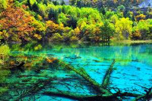 Five Flower Lake, China