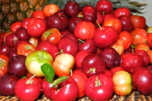 acerola-cherries