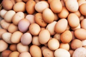 eggs