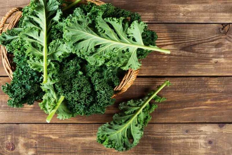 10 World Top Foods that Improve Eyesight Depth World