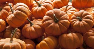 pumpkin-benefits-worlds-healthy-food