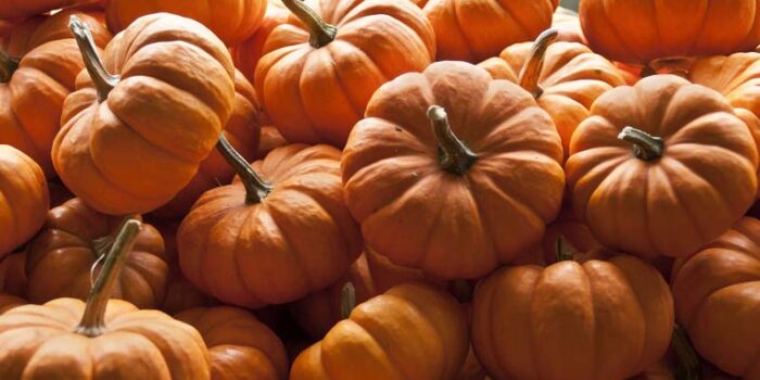 pumpkin-benefits-worlds-healthy-food