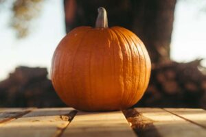 ways-of-using-pumpkin