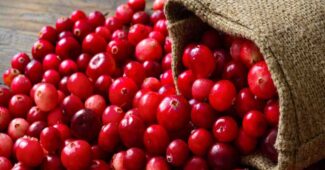 boost-immunity-cranberry