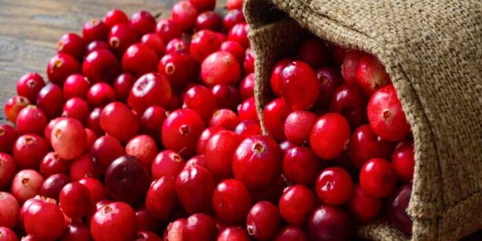 boost-immunity-cranberry