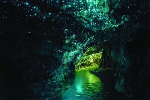 glowworms-cave-new-zealand