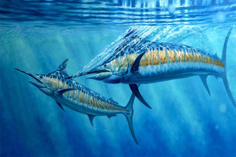 fastest animal in the world water