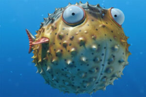 pufferfish-romantic-animals