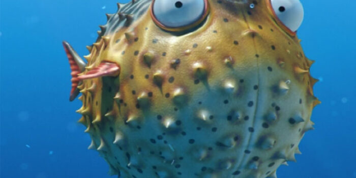 pufferfish-romantic-animals
