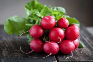 radishes