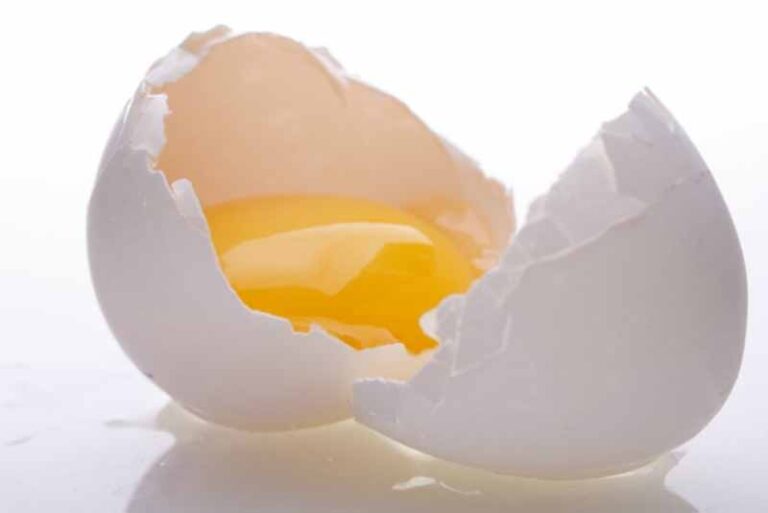 10 bad foods for your cat Depth World