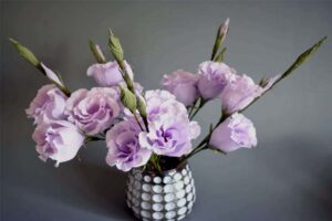 lisianthus