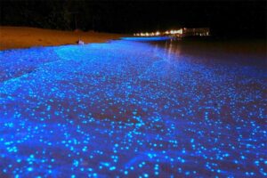 sea-of-stars-vaadhoo-island-maldives