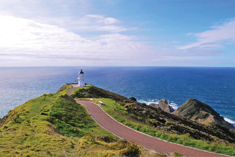 cape-reinga-beautiful-places-in-new-zealand