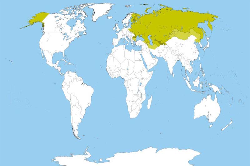 russian-empire-largest-empires-in-history