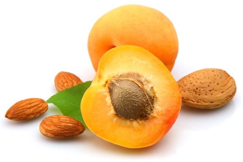 apricot-seeds-deadly-fruits