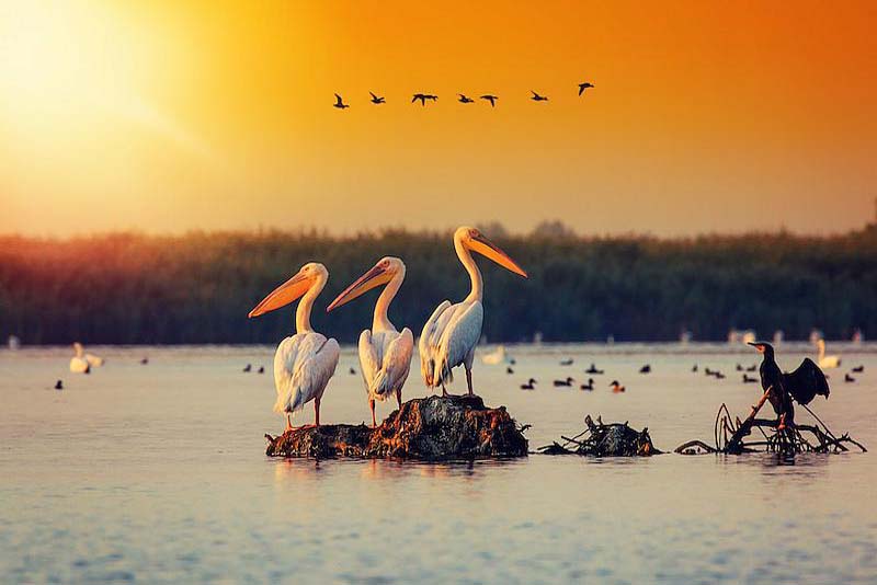 danube-delta-beautiful-places-in-romania