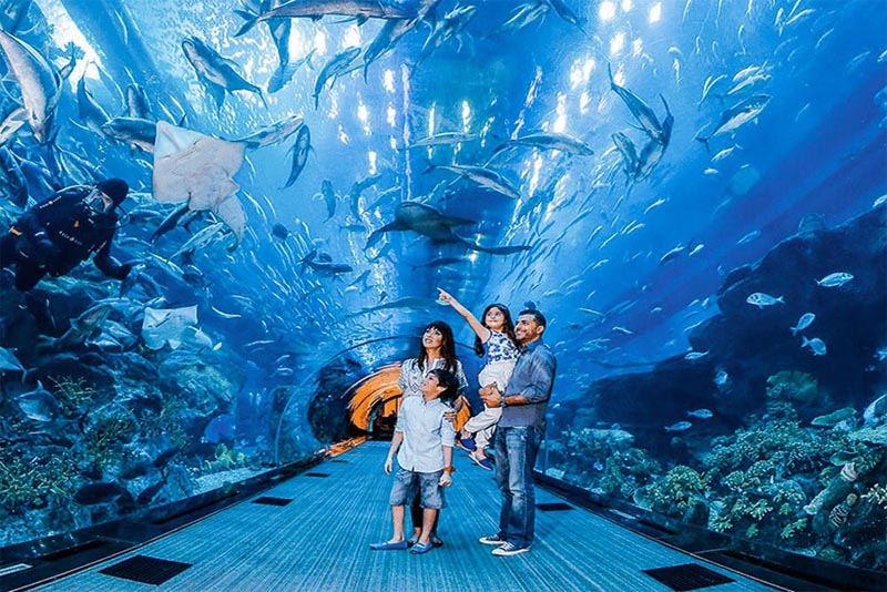 dubai-aquarium-and-underwater-zoo