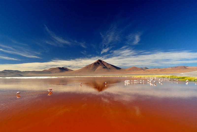 laguna-colorada-south-america