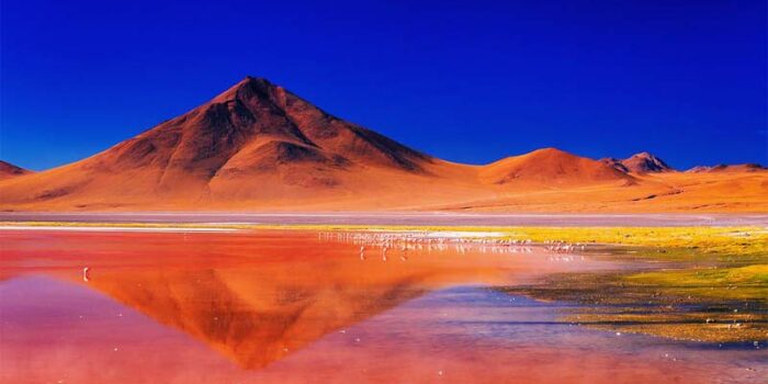 laguna-colorada-strangest-lake