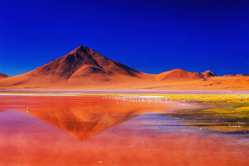 laguna-colorada-strangest-lake