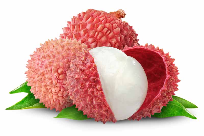 lychee-fruit-deadly-fruits