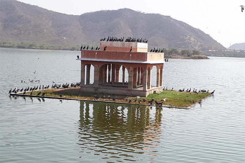 man-sagar-lake