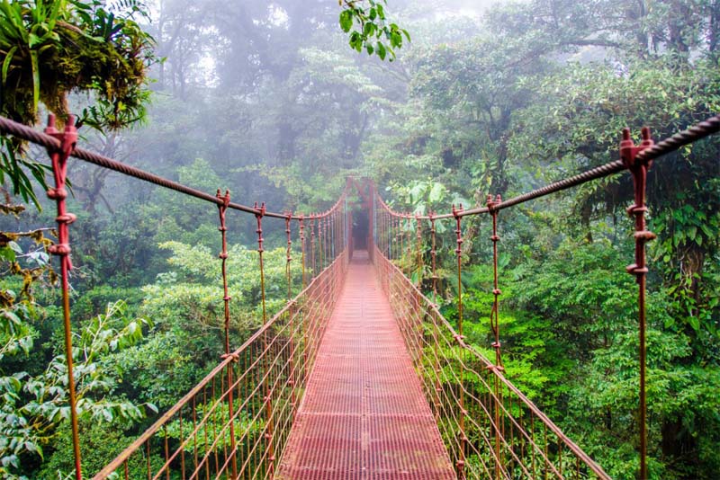 monteverde-cloud-forest-reserve