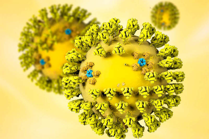 severe-acute-respiratory-syndrome