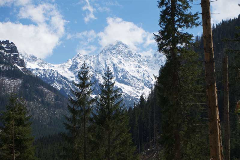 tatra-national-forest-beautiful-places-in-poland