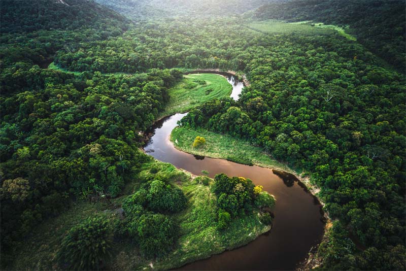 the-amazon-rainforest