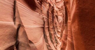 zebra-slot-canyon