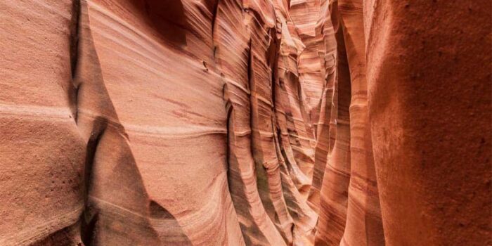 zebra-slot-canyon