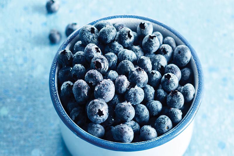 blueberries-Immune-System