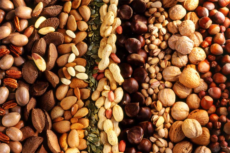 nuts-essential-food-for-healthy-hair