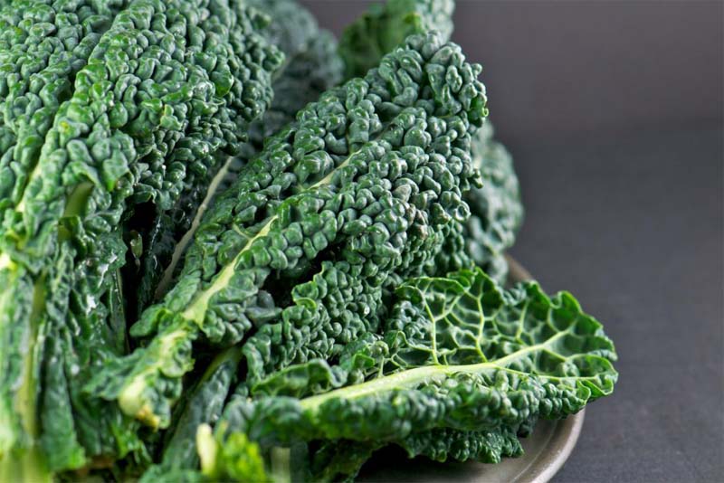 sharp-vision-green-leafy-vegetables
