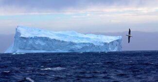 southern-ocean-largest-ocean