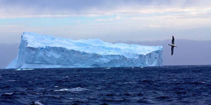 southern-ocean-largest-ocean