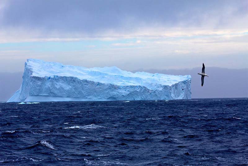 southern-ocean-largest-ocean