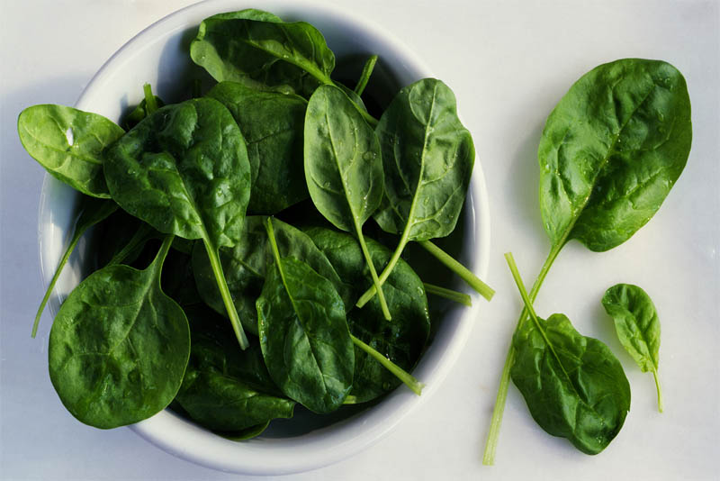 spinach-essential-food-for-healthy-hair