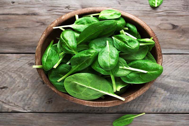 Spinach-Immune-System