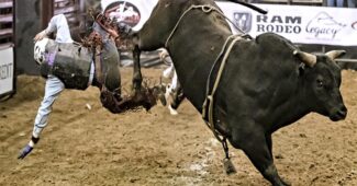 bull-riders-dangerous-jobs-in-the-world