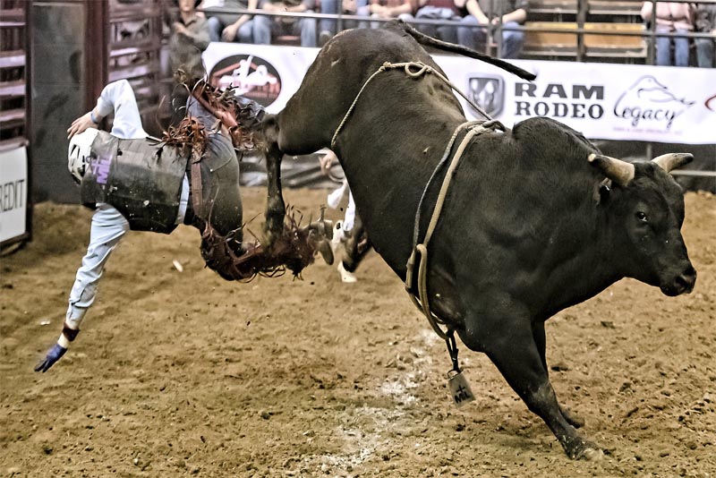 bull-riders-dangerous-jobs-in-the-world