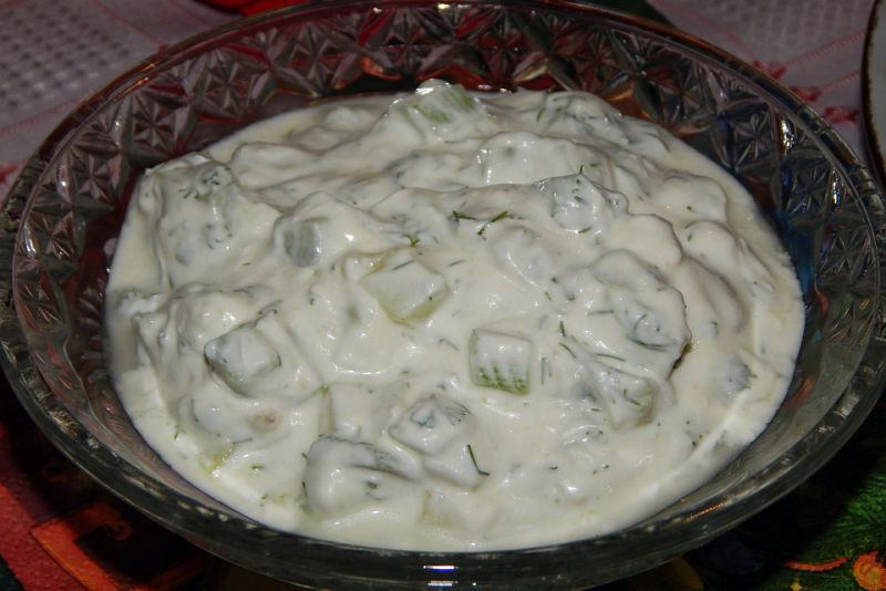 The Bulgarian yogurt