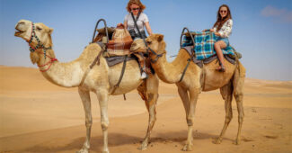 top-10-interesting-facts-about-camel