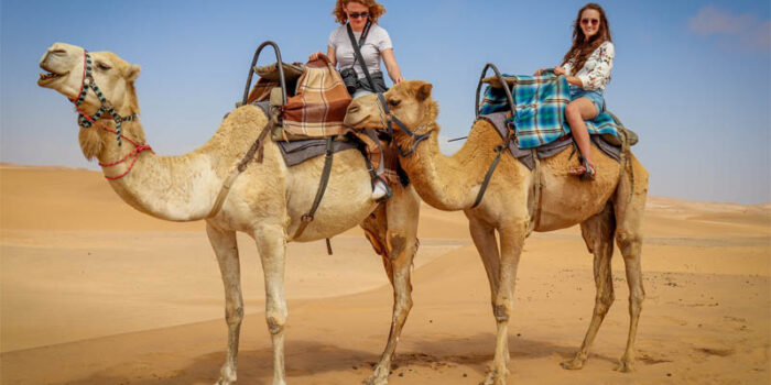 top-10-interesting-facts-about-camel