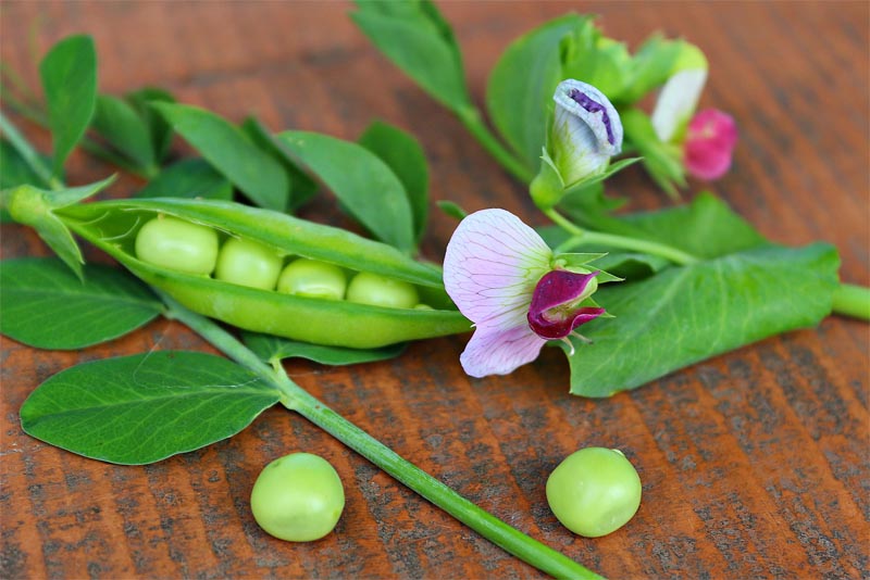 eat-black-eyed-peas-and-collared-greens