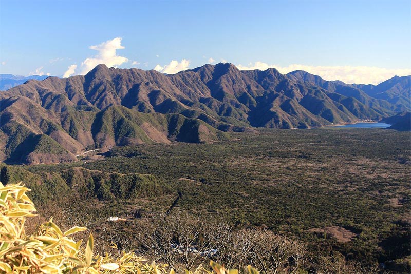 aokigahara