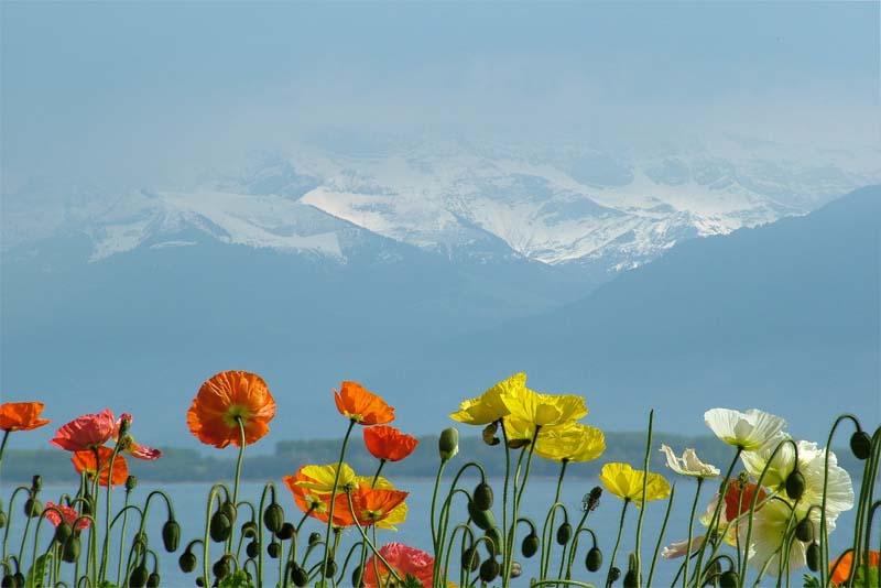 lake-geneva