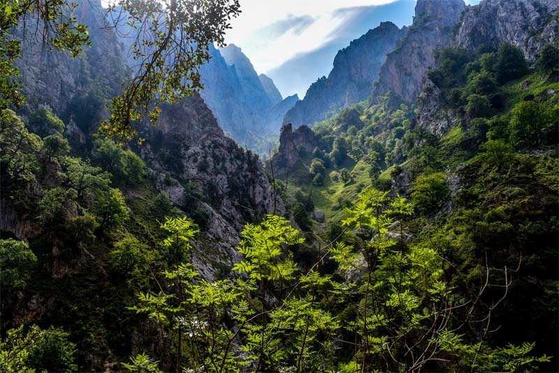 picos-de-europa